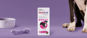 Bravecto 3 Month Chew for Extra Large Dogs 40-56kg Pink