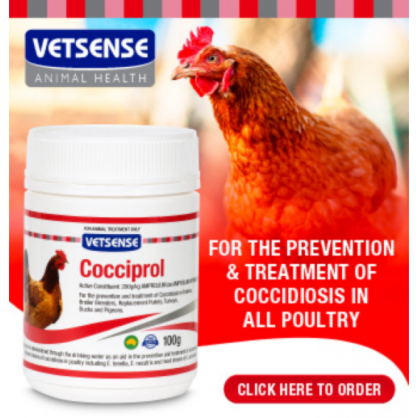 Vetsense Cocciprol (200g/kg Amprolium)