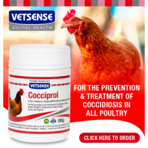Vetsense Cocciprol (200g/kg Amprolium)