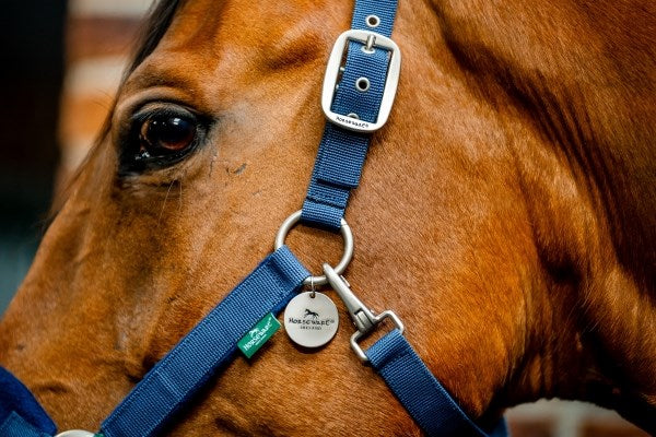 Horseware Signature Grooming Halter