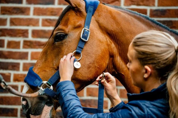 Horseware Signature Grooming Halter