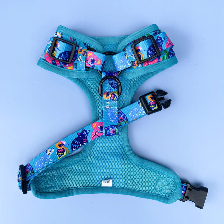 Dizzydogcollars online