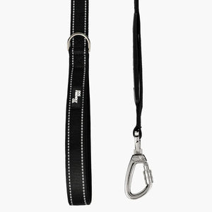 Dog Friendly Co Bungee Dog Leash