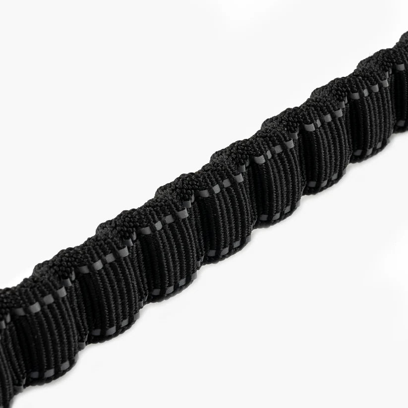 Dog Friendly Co Bungee Dog Leash