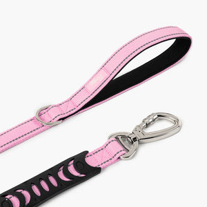 Dog Friendly Co Bungee Dog Leash