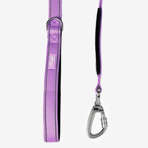 Dog Friendly Co Bungee Dog Leash