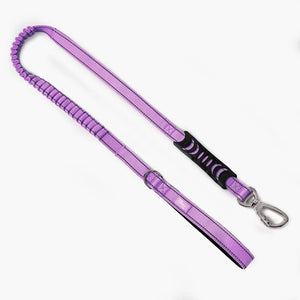 Dog Friendly Co Bungee Dog Leash