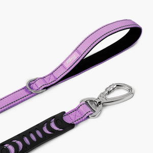 Dog Friendly Co Bungee Dog Leash
