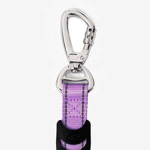 Dog Friendly Co Bungee Dog Leash