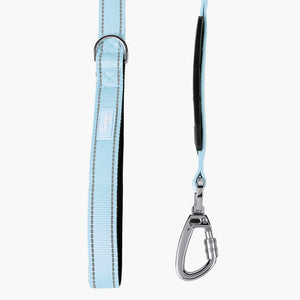 Dog Friendly Co Bungee Dog Leash