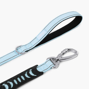 Dog Friendly Co Bungee Dog Leash