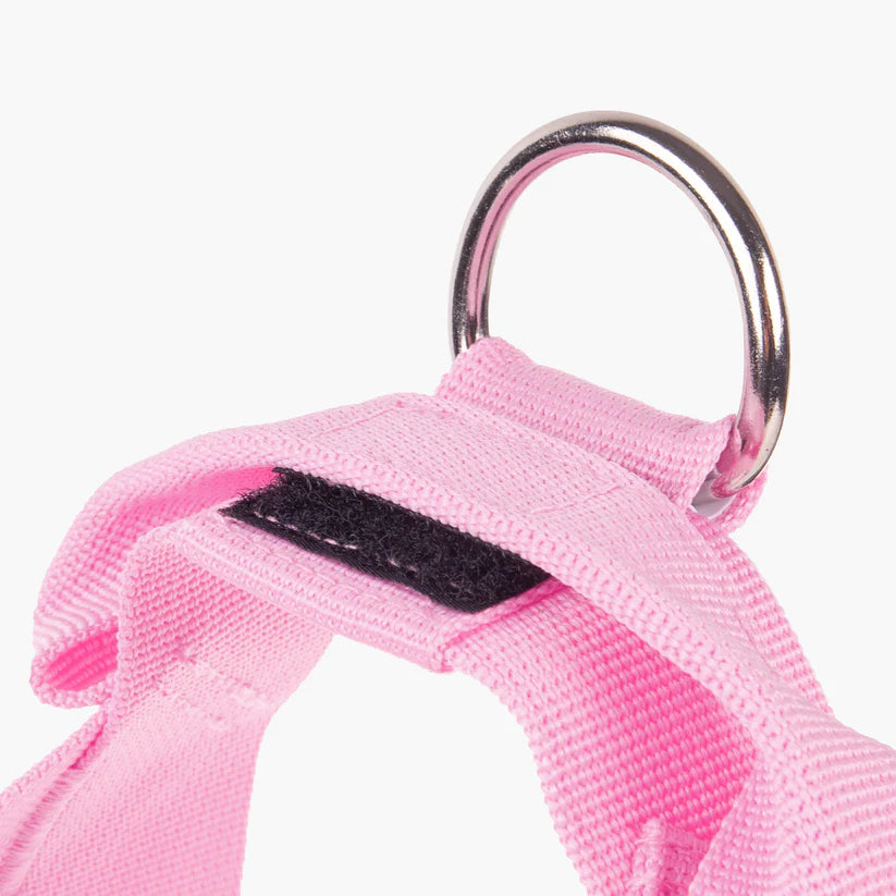 Dog Friendly Co Dog Harness