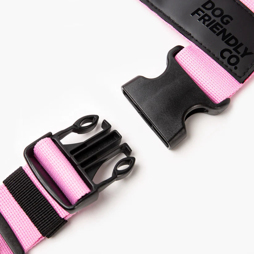 Dog Friendly Co Dog Harness