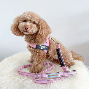 Dog Friendly Co Custom Name Patch