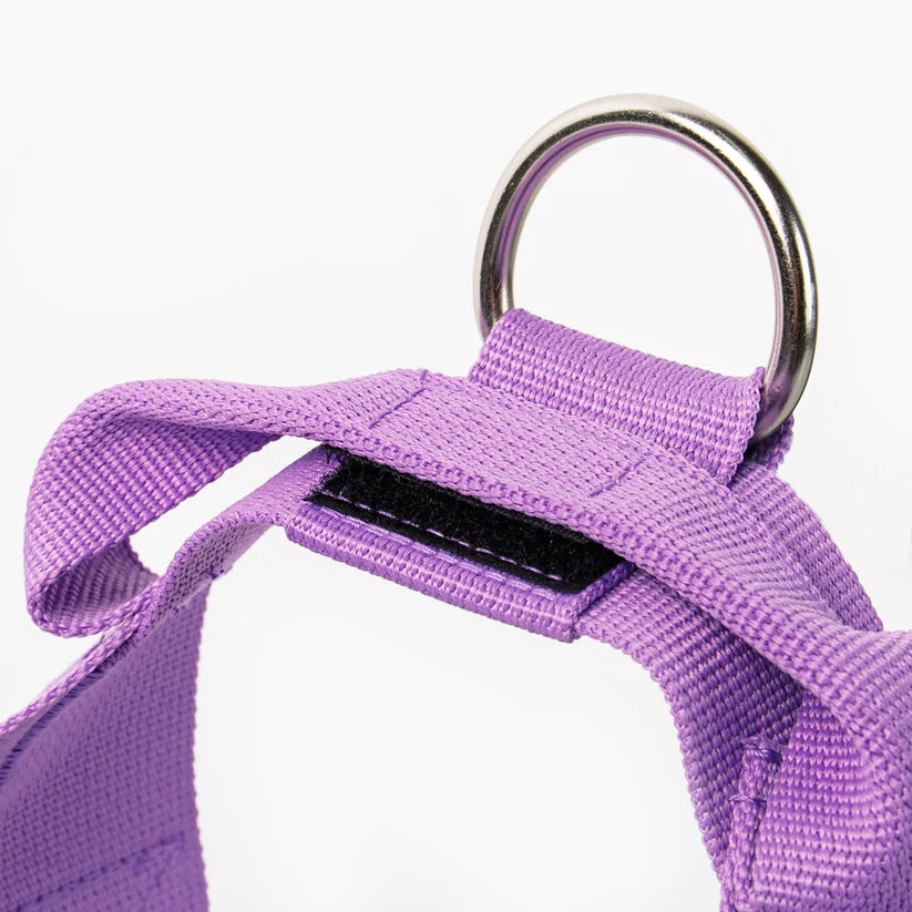 Dog Friendly Co Dog Harness