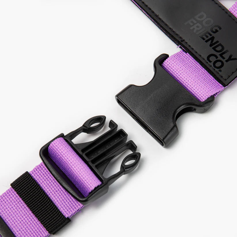 Dog Friendly Co Dog Harness