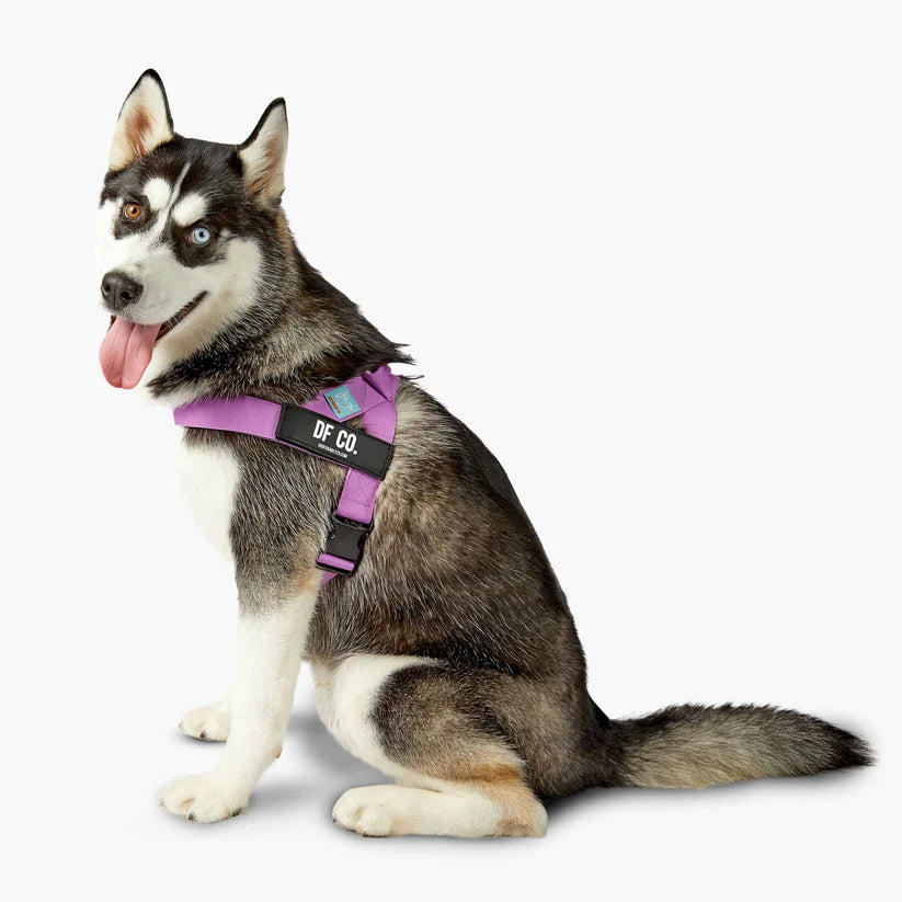 Dog Friendly Co Dog Harness