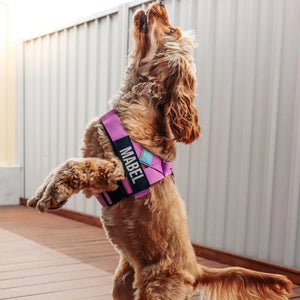 Dog Friendly Co Custom Name Patch