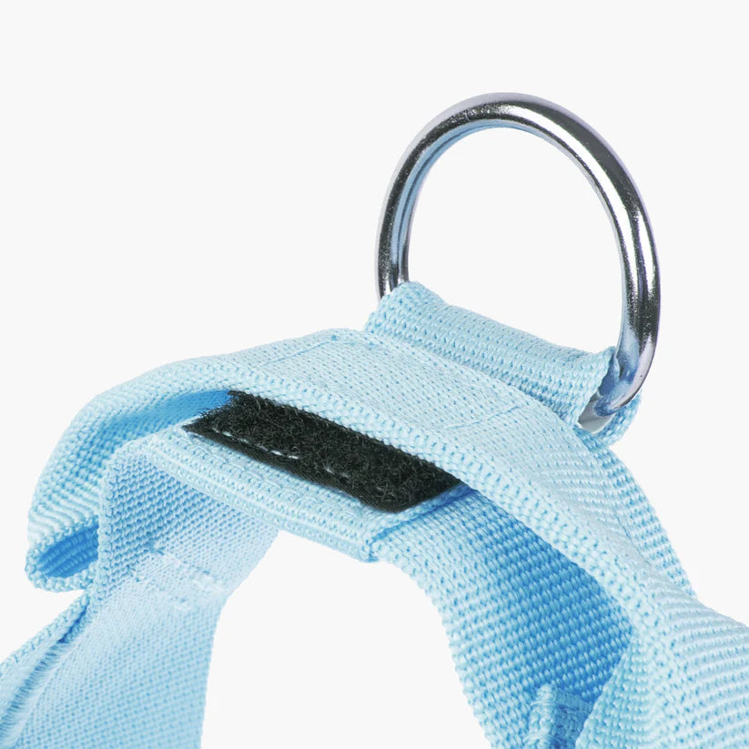 Dog Friendly Co Dog Harness