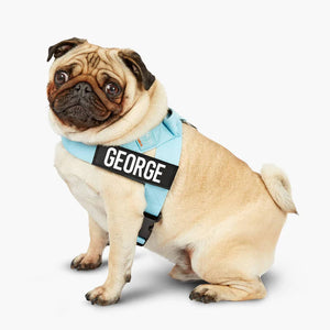 Dog Friendly Co Custom Name Patch