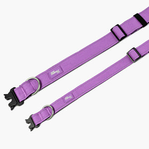 Dog Friendly Co Tactical Dog Collar