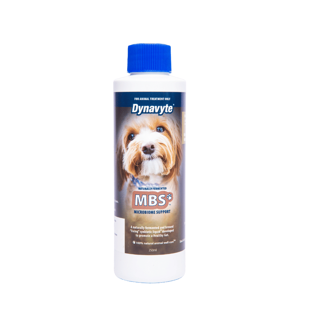 Dynavyte Microbiome Support for Dogs