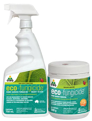 OCP Eco Fungicide