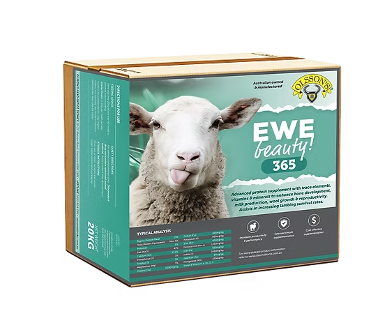 Olssons Ewe Beauty 365 Lick Block