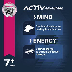 Eukanuba Senior Medium Breed Dry Dog Food