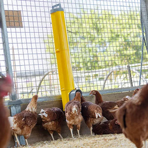 Bainbridge Tube Extension for Chook Tower Feeder