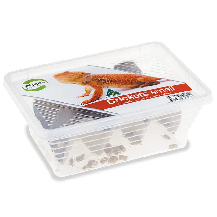 Pisces Live Crickets Small Approx 40pk