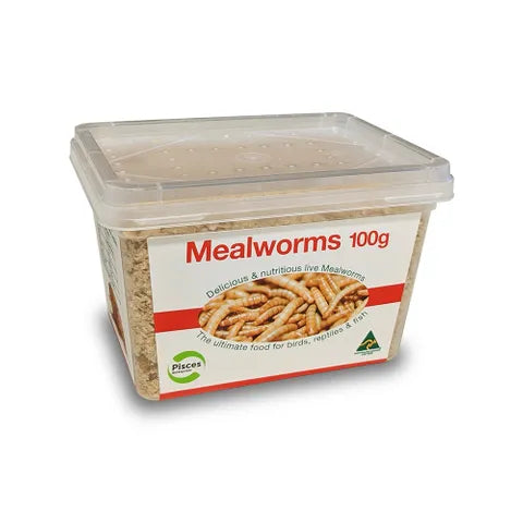 Pisces Live Mealworms Regular 100g