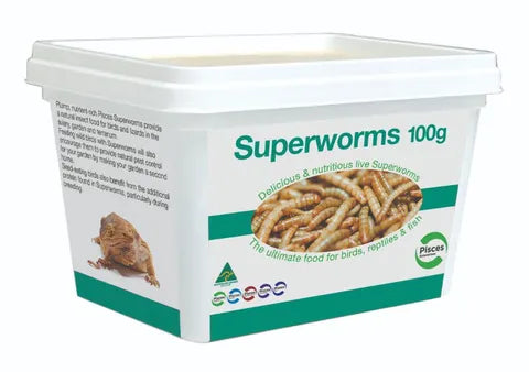 Pisces Live Superworms