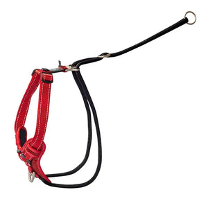 Rogz Control Stop Pull Dog Harness