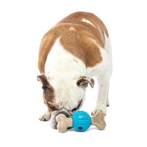 Guru Spin and Chew Bone Bacon Medium Dog Toy