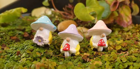 Mini Gnome w/Mushroom Hat 3 Asstd