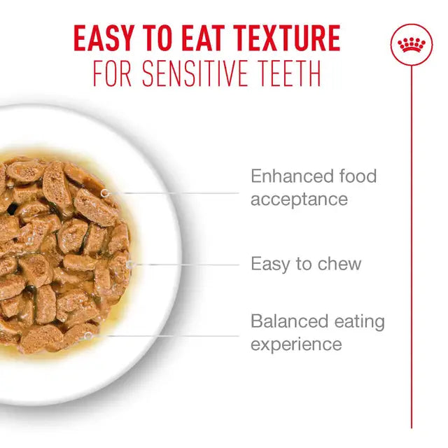 Royal Canin Cat Ageing 11+ Gravy Wet Cat Food