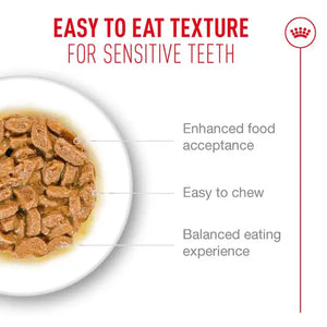 Royal Canin Cat Ageing 11+ Gravy Wet Cat Food