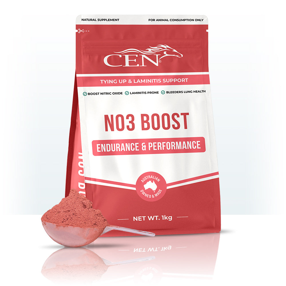 CEN NO3 Boost