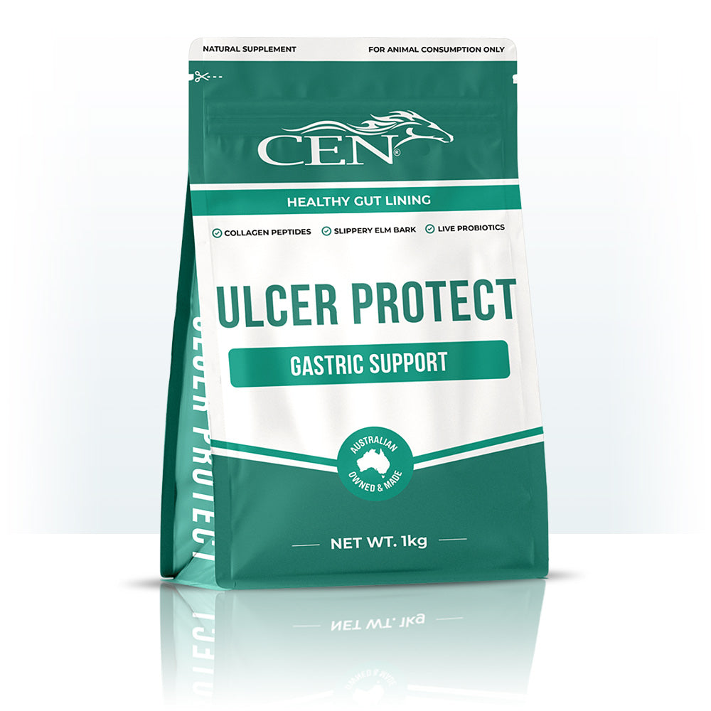 CEN Ulcer Protect