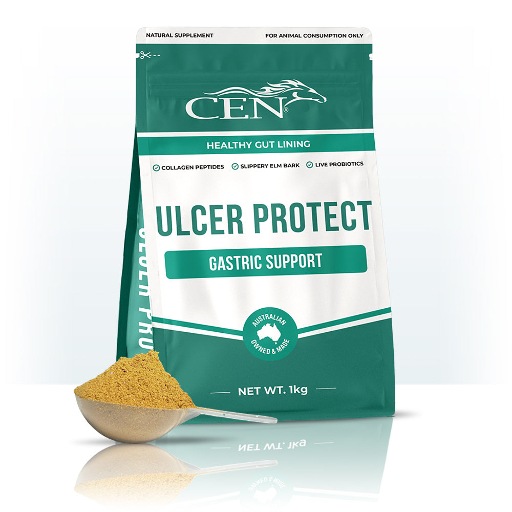 CEN Ulcer Protect
