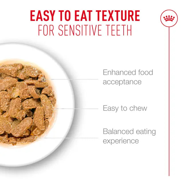 Royal Canin Cat Ageing 11+ Jelly Wet Cat Food