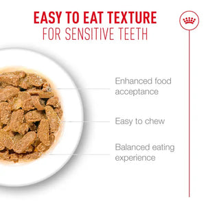 Royal Canin Cat Ageing 11+ Jelly Wet Cat Food