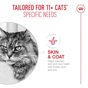 Royal Canin Cat Ageing 11+ Jelly Wet Cat Food