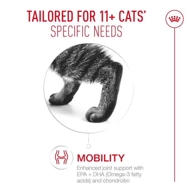 Royal Canin Cat Ageing 11+ Jelly Wet Cat Food