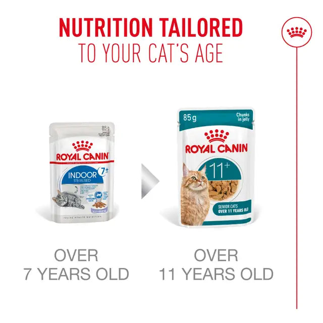 Royal Canin Cat Ageing 11+ Jelly Wet Cat Food