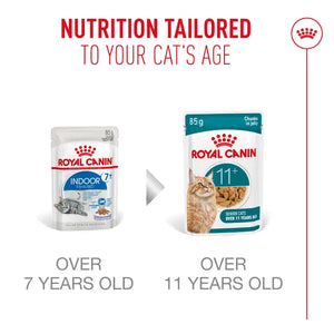 Royal Canin Cat Ageing 11+ Jelly Wet Cat Food
