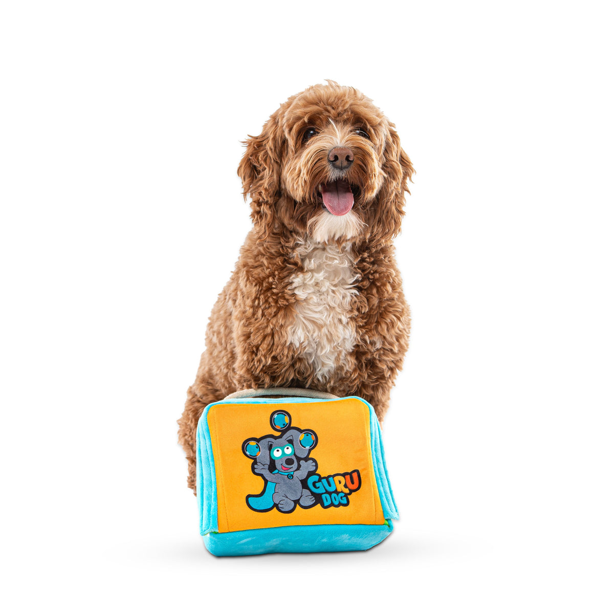 Guru Juggling Guru Fun Box Large Dog Toy