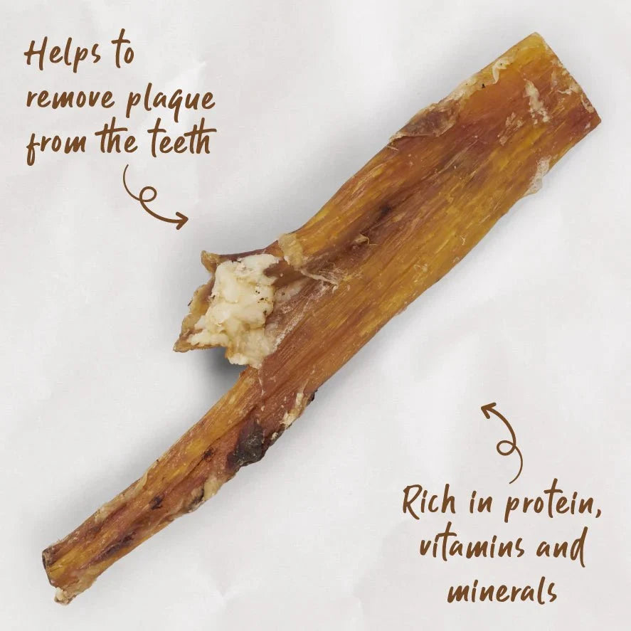 Kazoo Prime Cuts Beef Paddywack 35cm Natural Dog Chew