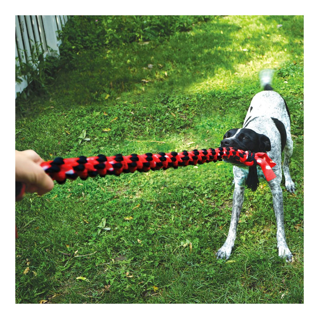 KONG Signature Rope Mega Dual Knot Dog Toy XL
